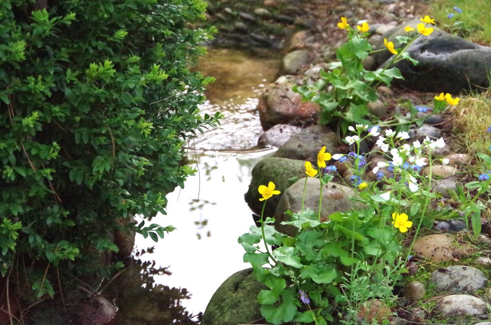bachlauf-gartenteich-bepflanzung.jpg Ein kleiner, naturnah gestalteter Bachlauf mit Steinufer, gelben Sumpfdotterblumen und weißem Schaumkraut.