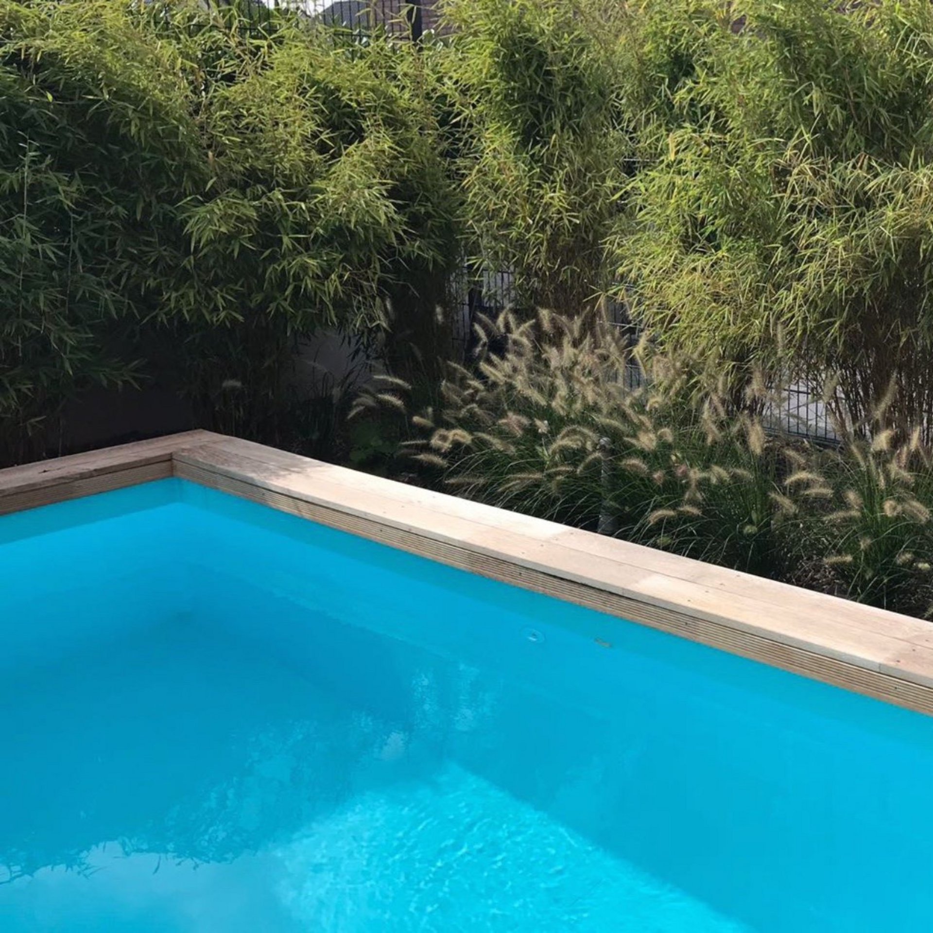 Bellin Garten und Landschaftsbau Pool und Schwimmteiche