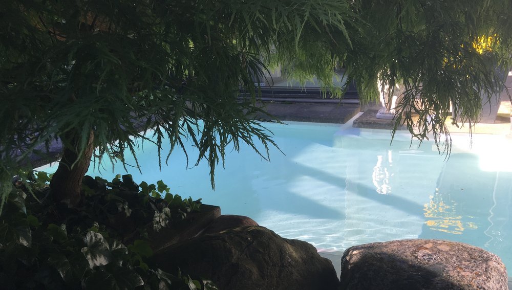 pool-steingarten.png Ein hellblauer Swimmingpool, fotografiert durch die schattigen Äste eines Baumes mit großen Steinen im Vordergrund.